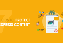 Protect wordpress content from unauthorized copying